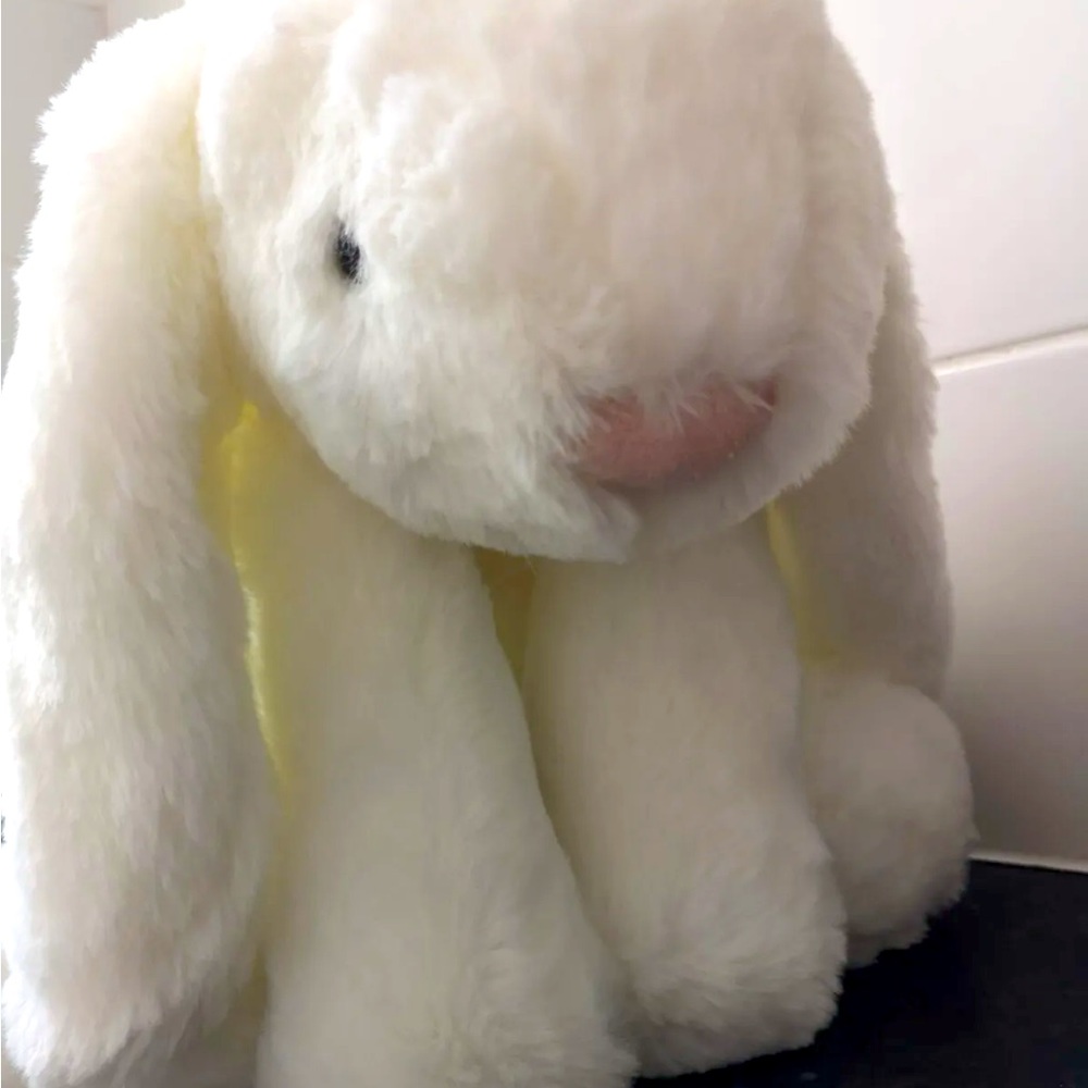 Huge Smudge Bunny